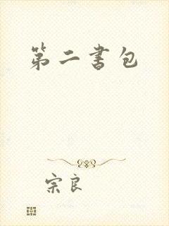 第二书包
