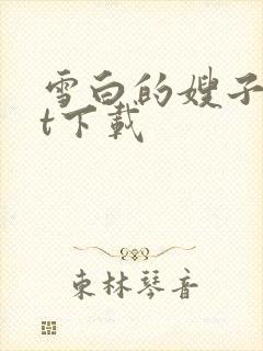 雪白的嫂子txt下载