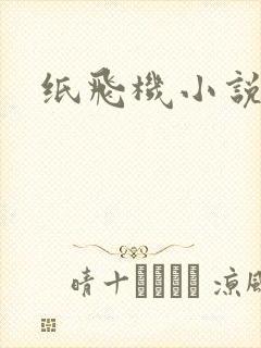 纸飞机小说