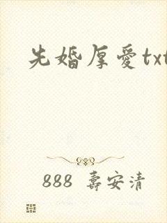 先婚厚爱txt