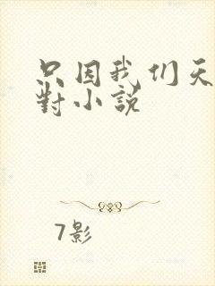 只因我们天生一对小说