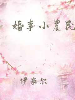 婚事小农民