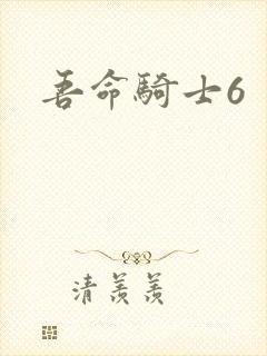 吾命骑士6