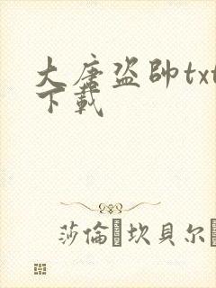 大唐盗帅txt下载