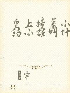 皇上撞着小公主的小说叫什么