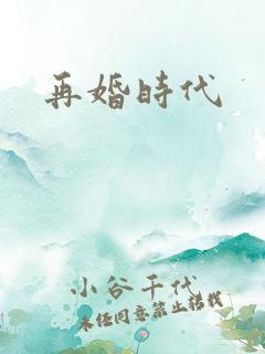 再婚时代