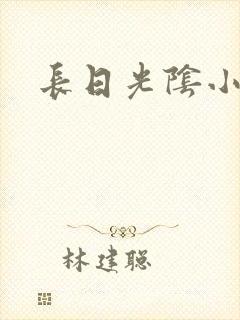 长日光阴小说