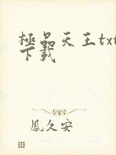 极品天王txt下载