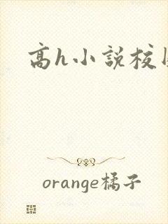 高h小说校园