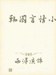 韩国言情小说