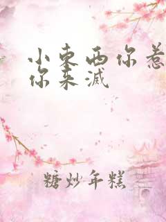 小东西你惹的火你来灭