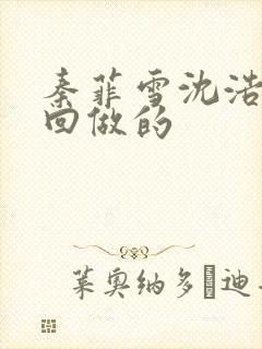 秦菲雪沈浩第几回做的