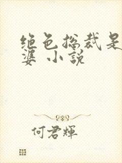 绝色总裁是我老婆 小说