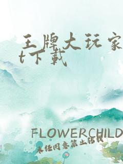 王牌大玩家txt下载