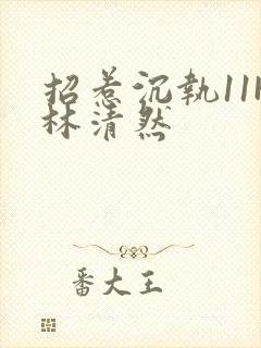 招惹沉执11H林清然