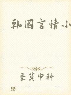韩国言情小说