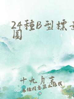 24种B型标意图