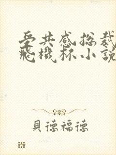 受共感总裁攻的飞机杯小说叫什么