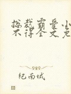 总裁霸爱小妻惹不得全文免费阅读