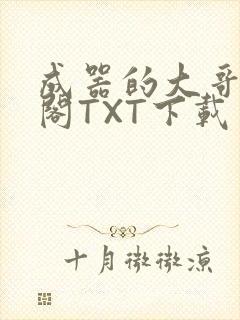 成器的大哥笔趣阁TXT下载
