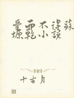 爱而不得苏路顾塬乾小说