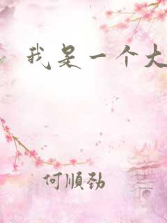 我是一个大盗贼