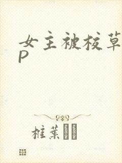 女主被校草们NP