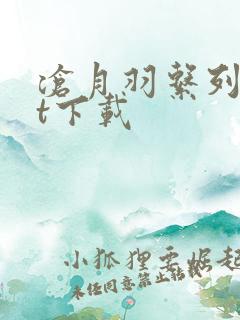 沧月羽系列txt下载