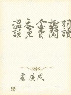 温衣念谢羽渊小说免费阅读