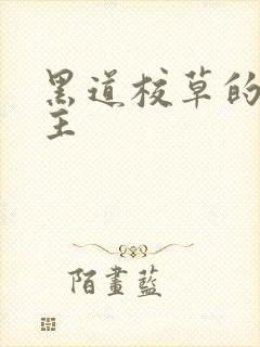 黑道校草的冷公主