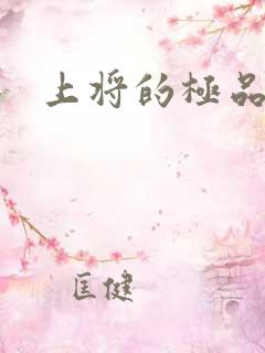 上将的极品宠妻