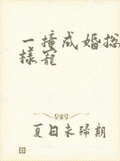 一撞成婚总裁花样宠