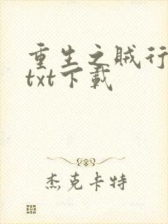 重生之贼行天下txt下载