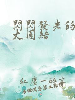 闪闪发光的小说大团结