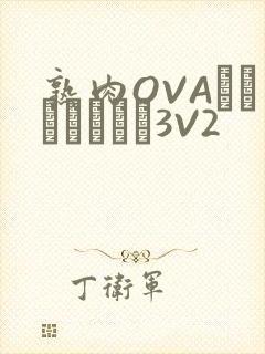 熟肉OVAちゃんはしたい3V2