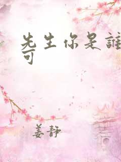 先生你是谁林亦可