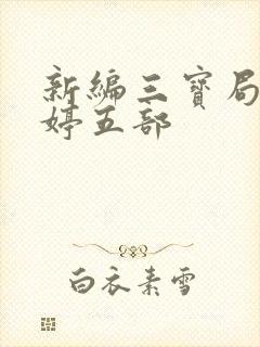 新编三宝局长许婷五部