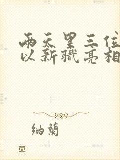 两天里三位将军以新职亮相