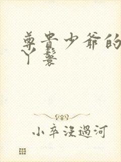 尊贵少爷的大牌丫鬟