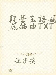 段誉王语嫣在井底插曲TXT