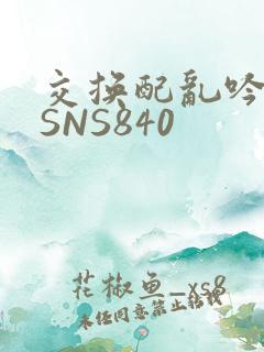 交换配乱吟粗大SNS840