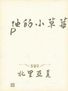 他的小草莓POP