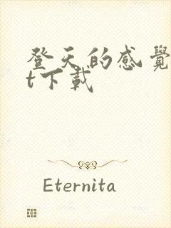 登天的感觉txt下载