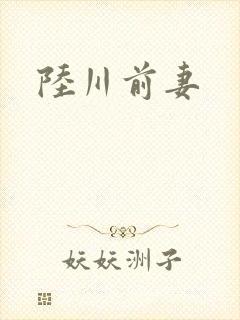 陆川前妻