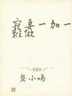 宠妻一加一老婆难做