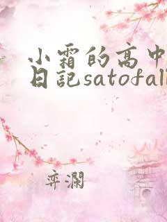 小霜的高中成长日记satofall