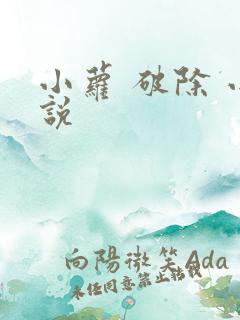 小萝 破除 小说