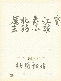 厉北爵江宝宝男主的小说