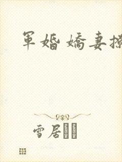 军婚 娇妻撩人