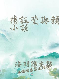 杨钰莹与赖昌星小说